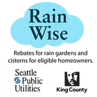 Rain wise